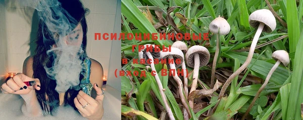 соль ск Лабытнанги