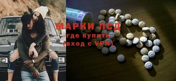 прущие грибы Балахна
