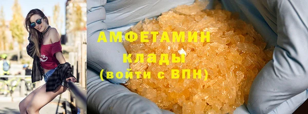 прущие грибы Балахна