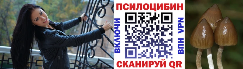 Псилоцибиновые грибы мицелий  Бобров 